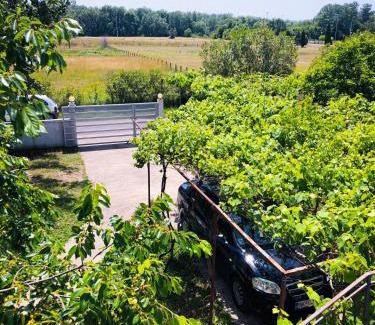 Bregvija Apartment | Renata Holiday Apartments