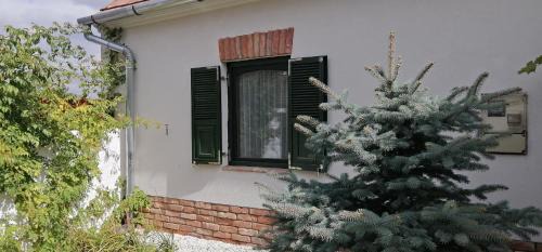 Csabrendek House | Rendeki Vendégház, ÖNÁLLÓ ház