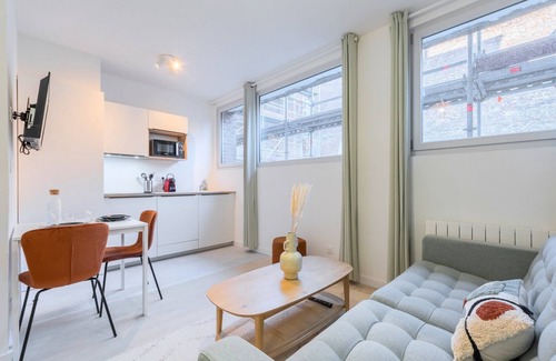 Lille Centre Ville Apartment | Renovated 1 bedroom apartment