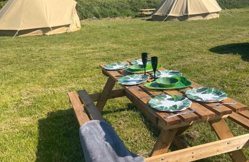 New Forest District Other | Rent a Tent