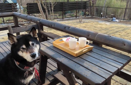 Yumoto Villa | Rental Villa Jacumonti with dog run 600m above sea level Slow and active in the center of Nasu Highlands!