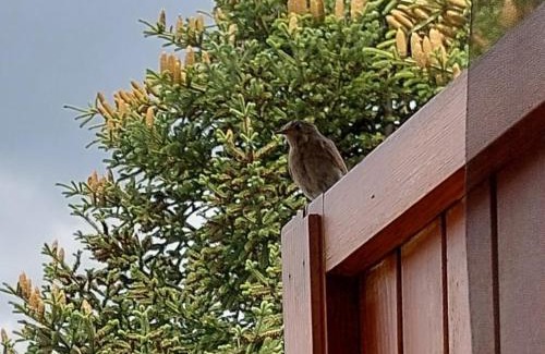 Camigliatello Apartment | repaci 17 home