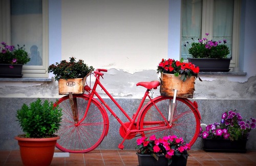 Venaria Reale House | Residence La Pera Bugiarda