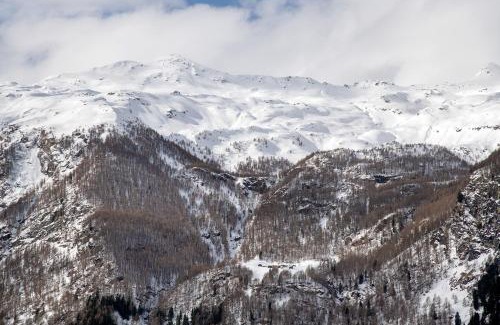 Campodolcino Apartment | Residence Larice Bianco App n3