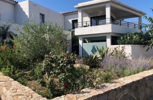 Monticello Apartment | Residence Petradoru