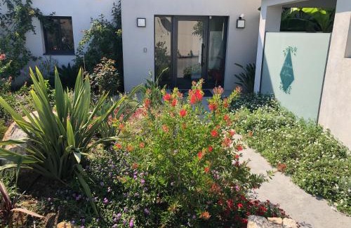 Monticello Apartment | Residence Petradoru