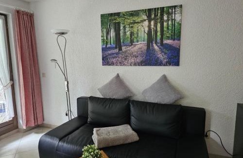 Todtnauberg Apartment | Residenz Schauinsland Todtnauberg - Fewo 17 - Sauna - Spielzimmer für Kinder - Nähe Feldberg
