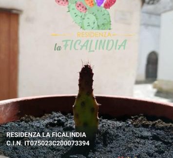 Centro Storico Apartment | Residenza La Ficalindia