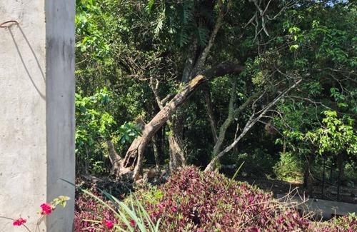 Guaira Department Cottage | Rest of Mbocayaty