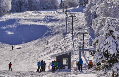 Brandon Apartment | *Restored, Riverside Home* Walk to Adorable Downtown