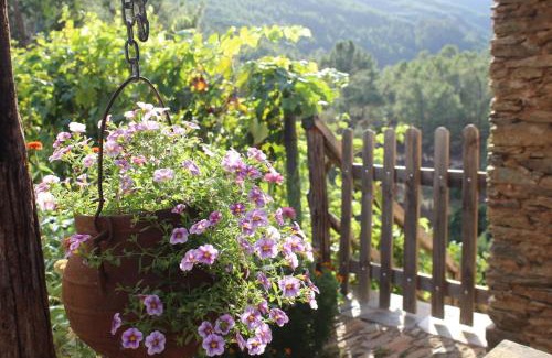 Balocas Apartment | Retiro do Aguincho