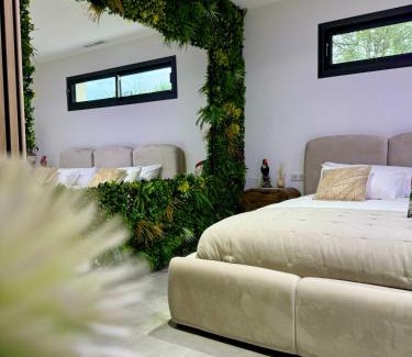 Les Mages Bed & Breakfast | Reve D Amazonie & Spa