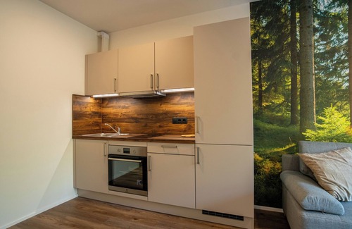 Zelezna Ruda House | Rezidence Jezerní