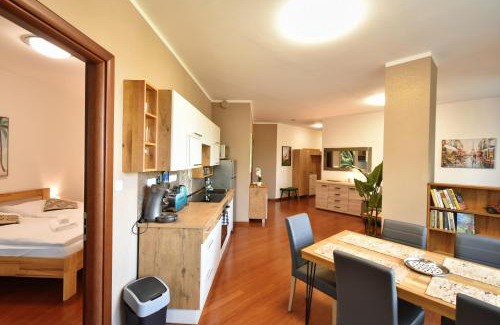 Karlovy Vary Apartment | Rezidence Moser Family Apartments
