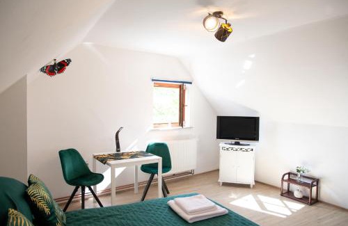 Cesky Krumlov House | Rezidence Plešivec - Rodinný Apartmán s 3 ložnicemi