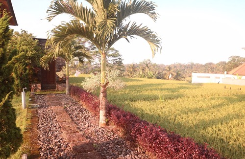 Tegallalang Villa | Ricefield view with natural vibes