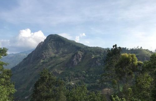 Ambagollapathana Bed & Breakfast | Ridge View Guest House -Ella