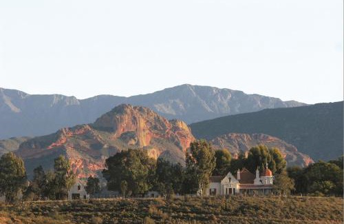 Oudtshoorn Bed & Breakfast | Rietfontein Ostrich Palace