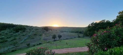 Suvereto House | Rifugio La Foresta