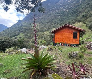 Choachi Bed & Breakfast | Rincón Entre Piedras-Cabaña Entre Montañas