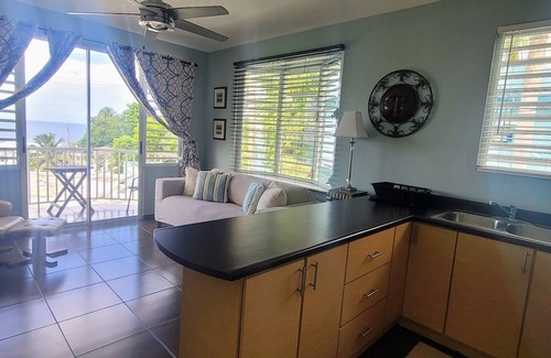Puntas Apartment | 🌅 Rincon Oceanview Escape – Surf, Sunsets & Charm | 1 Bed: WaveView Rentals