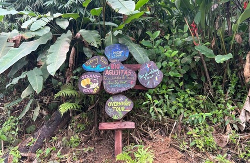 Drake Bay Hotel | Rio Agujitas Eco Farm Hostel and Tours