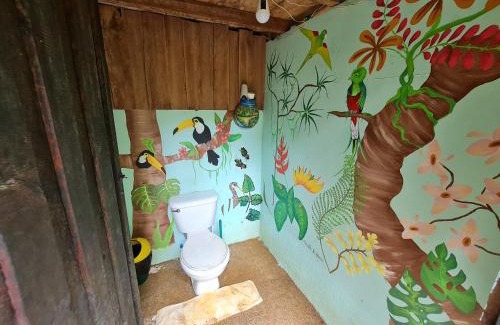 Drake Bay Apartment | Rio Agujitas Eco jungle - Island and Corcovado tours