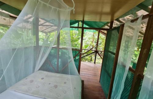 Drake Bay Apartment | Rio Agujitas Eco jungle - Island and Corcovado tours