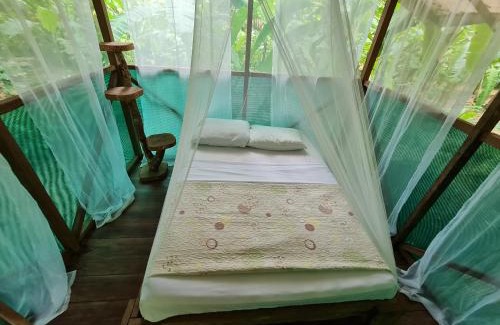 Drake Bay Apartment | Rio Agujitas Eco jungle - Island and Corcovado tours