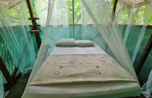 Drake Bay Apartment | Rio Agujitas Eco jungle - Island and Corcovado tours