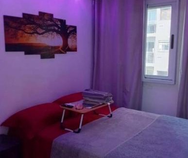 Sao Cristovao Apartment | RIO DE JANEIRO São Cristóvão Klein
