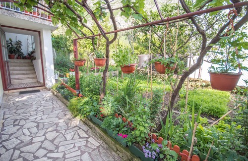 Risan Apartment | Risan Apartment, Boka Bay