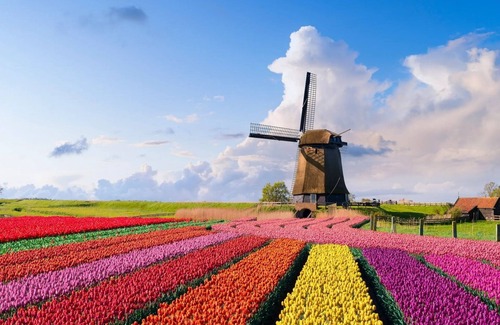 Dirkshorn Ski Chalet | Ritas Chalet Holland North Sea - Netherlands - Holiday home with garden by the sea -