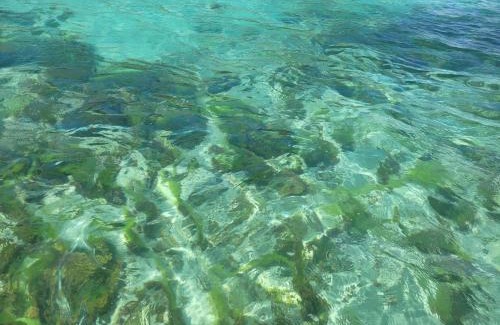 Carenero Island Bed & Breakfast | RIVA B&B