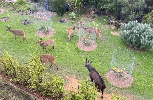 Still Bay House | River Daze