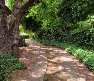 Vredefort House | Riverbush Lodge Guesthouse