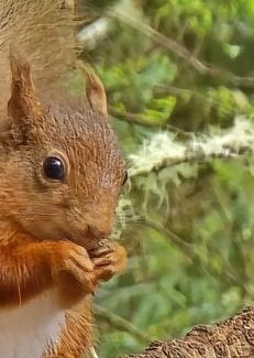 Barcaldine Apartment | Riverside Loft