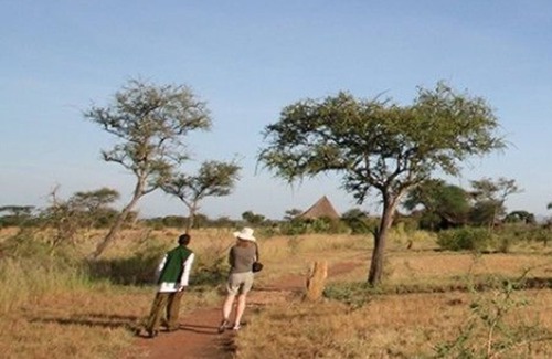 Serengeti National Park Other | Robanda Safari Camp