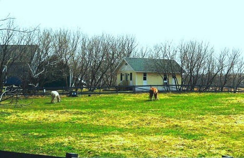 Muskego Cottage | Romantic Bed And Breakfast Cottage.