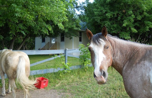 Muskego Cottage | Romantic Bed And Breakfast Cottage.