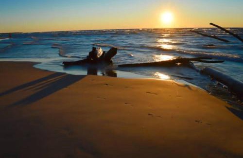 Port Franks Apartment | Romantic Golden Spa Suite