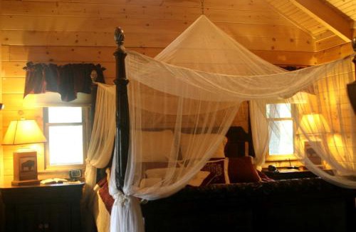 Clyde House | Romantic One-Bedroom Cabin with a Fireplace near Asheville, North Carolina