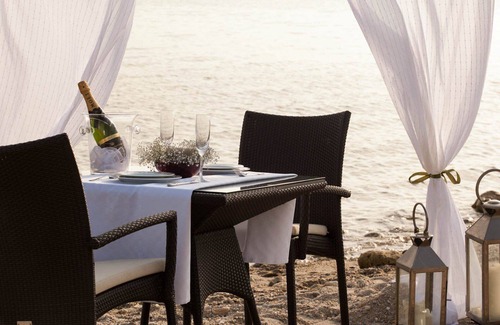 Polichrono Apartment | Romantic residence in the palm garden at the SEA in Chalkidiki. Ideal for couples!