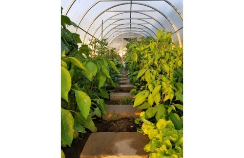 Marengo Apartment | Romantic Spa Getaway for Two! Or One!