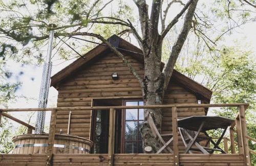 Bohon Ski Chalet | Romantic Woodland Chalet