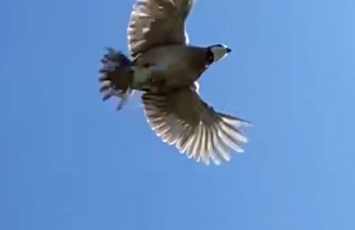 Brandon House | Room #1, sleeps 3 located just 20 mins from the heart of downtown Waxahachie.