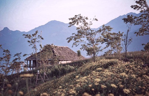 Sa Pa Apartment | Room 3: Lavender - Greenland Sa Pa Hotel by DLMHnn