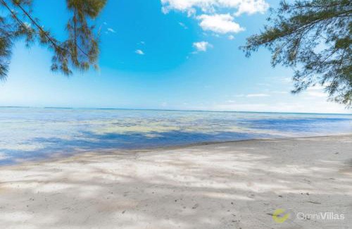 Moorea-Maiao Apartment | Room 3 - Secluded Rustic Bungalow by Tipaniers Beach
