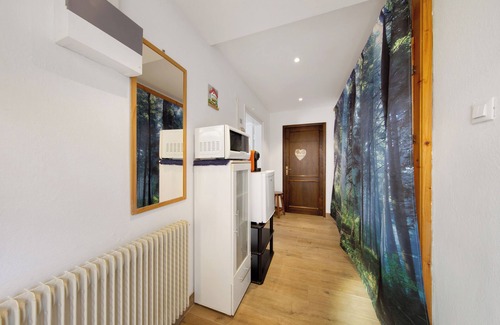 San Pietro di Cadore Apartment | Room 'Abeti' with Mountain View