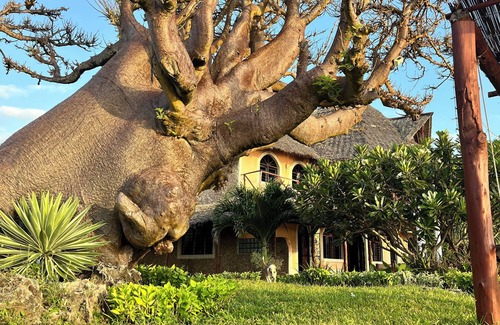 Shimoni Villa | Room in Guest Room - 38m2 Turtle Suite in a 560 m2 Villa, Indian Ocean View